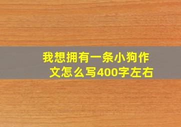 我想拥有一条小狗作文怎么写400字左右