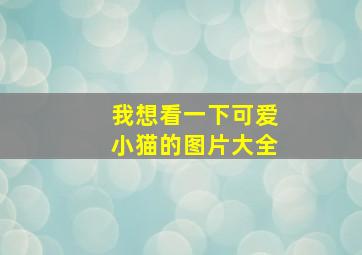 我想看一下可爱小猫的图片大全