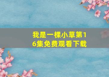 我是一棵小草第16集免费观看下载