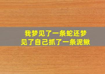 我梦见了一条蛇还梦见了自己抓了一条泥鳅