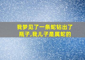 我梦见了一条蛇钻出了瓶子,我儿子是属蛇的