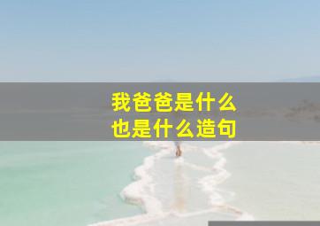 我爸爸是什么也是什么造句