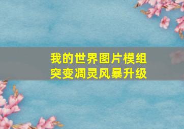 我的世界图片模组突变凋灵风暴升级