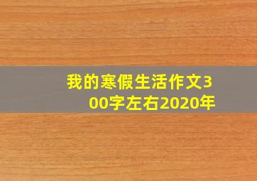 我的寒假生活作文300字左右2020年