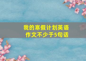 我的寒假计划英语作文不少于5句话