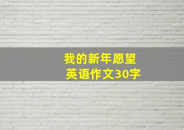 我的新年愿望英语作文30字