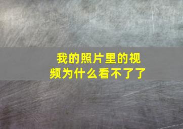 我的照片里的视频为什么看不了了