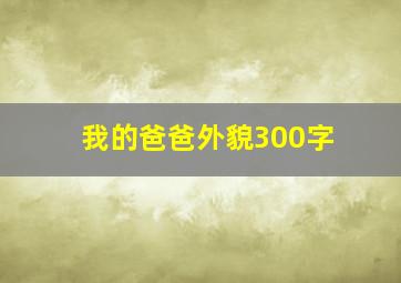 我的爸爸外貌300字