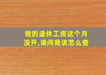 我的退休工资这个月没开,请问我该怎么查