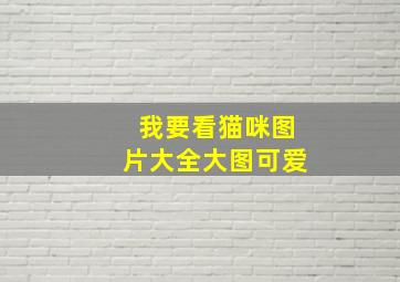 我要看猫咪图片大全大图可爱