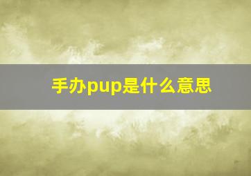 手办pup是什么意思