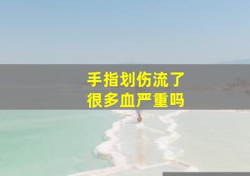 手指划伤流了很多血严重吗