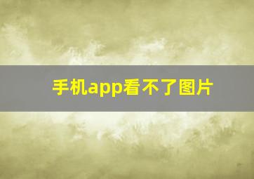 手机app看不了图片