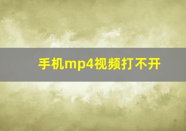 手机mp4视频打不开