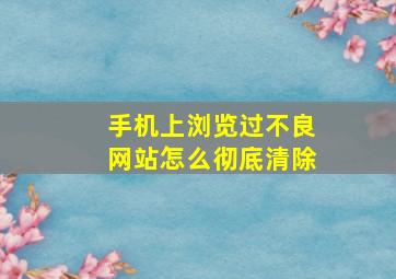 手机上浏览过不良网站怎么彻底清除