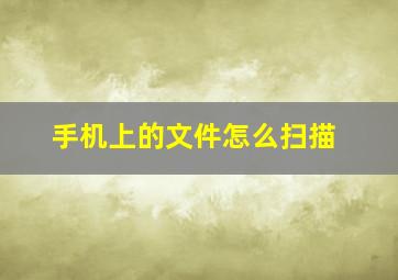 手机上的文件怎么扫描