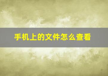 手机上的文件怎么查看