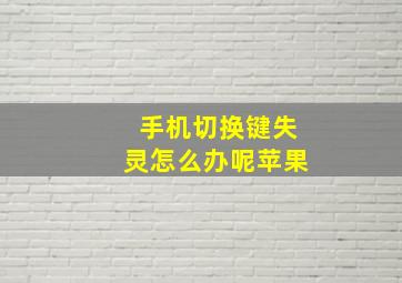 手机切换键失灵怎么办呢苹果