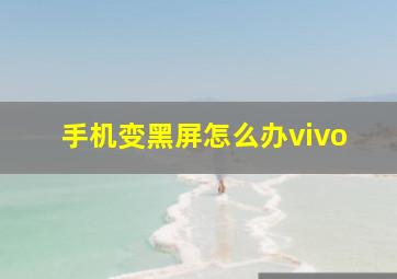 手机变黑屏怎么办vivo