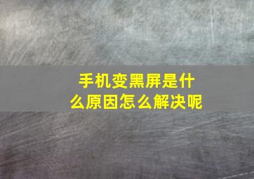 手机变黑屏是什么原因怎么解决呢