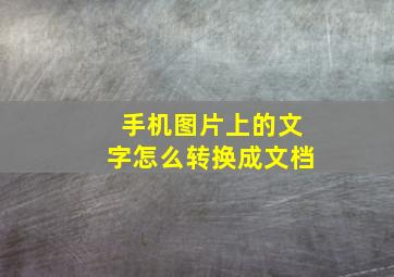 手机图片上的文字怎么转换成文档