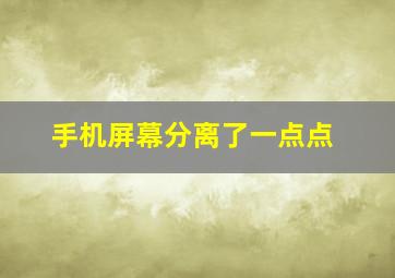 手机屏幕分离了一点点