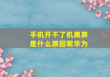 手机开不了机黑屏是什么原因呢华为