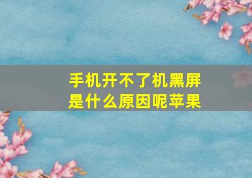 手机开不了机黑屏是什么原因呢苹果