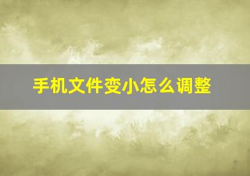 手机文件变小怎么调整