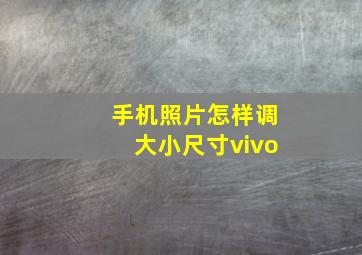 手机照片怎样调大小尺寸vivo