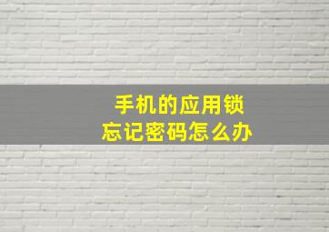 手机的应用锁忘记密码怎么办