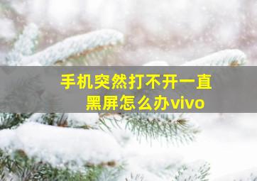 手机突然打不开一直黑屏怎么办vivo