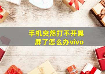 手机突然打不开黑屏了怎么办vivo