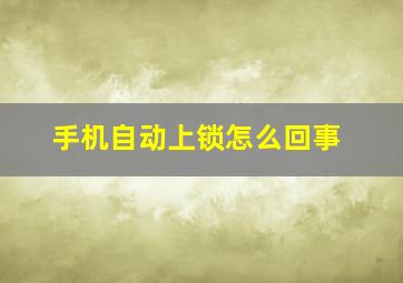 手机自动上锁怎么回事