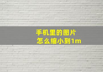 手机里的图片怎么缩小到1m