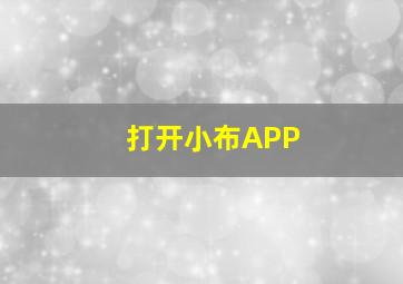 打开小布APP