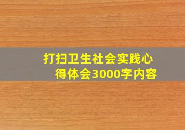 打扫卫生社会实践心得体会3000字内容