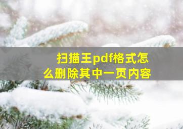 扫描王pdf格式怎么删除其中一页内容