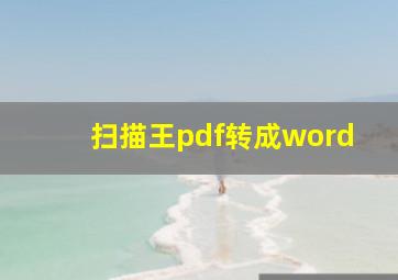 扫描王pdf转成word