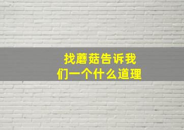 找蘑菇告诉我们一个什么道理