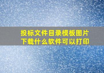 投标文件目录模板图片下载什么软件可以打印