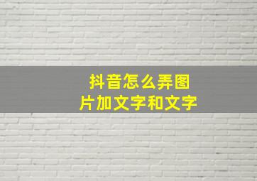 抖音怎么弄图片加文字和文字