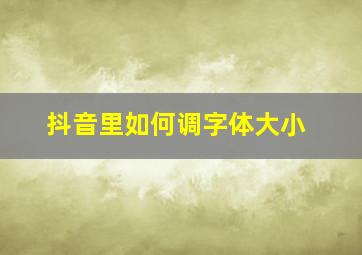 抖音里如何调字体大小