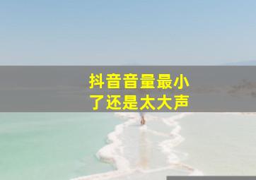 抖音音量最小了还是太大声