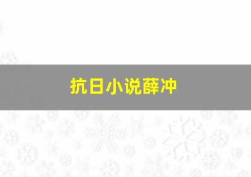 抗日小说薛冲