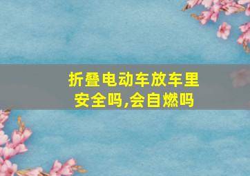 折叠电动车放车里安全吗,会自燃吗