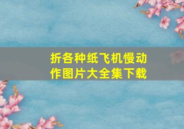 折各种纸飞机慢动作图片大全集下载