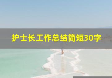 护士长工作总结简短30字