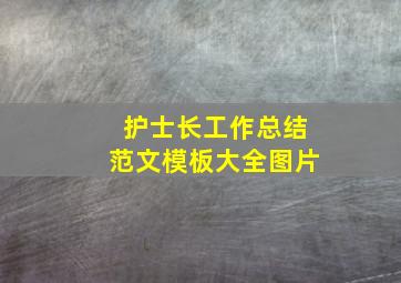 护士长工作总结范文模板大全图片