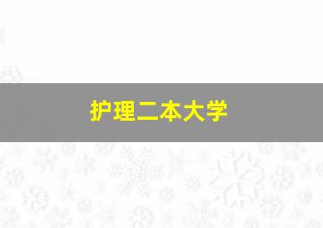 护理二本大学